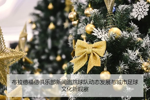 bu-la-de-fu-de-ju-le-bu-xin-wen-zhui-zong-qiu-dui-dong-tai-fa-zhan-yu-cheng-shi-zu-qiu-wen-hua-xin-guan-cha-2-633.jpg